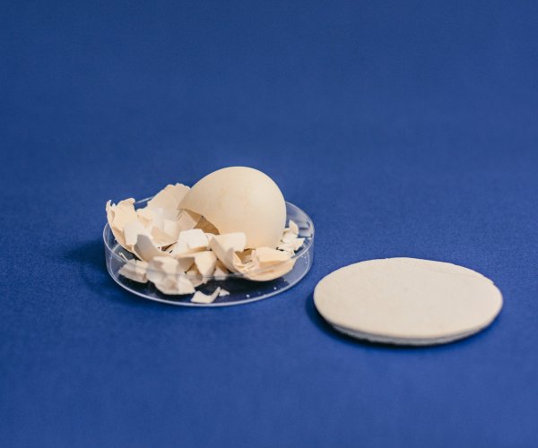Materiom : Eggshell
